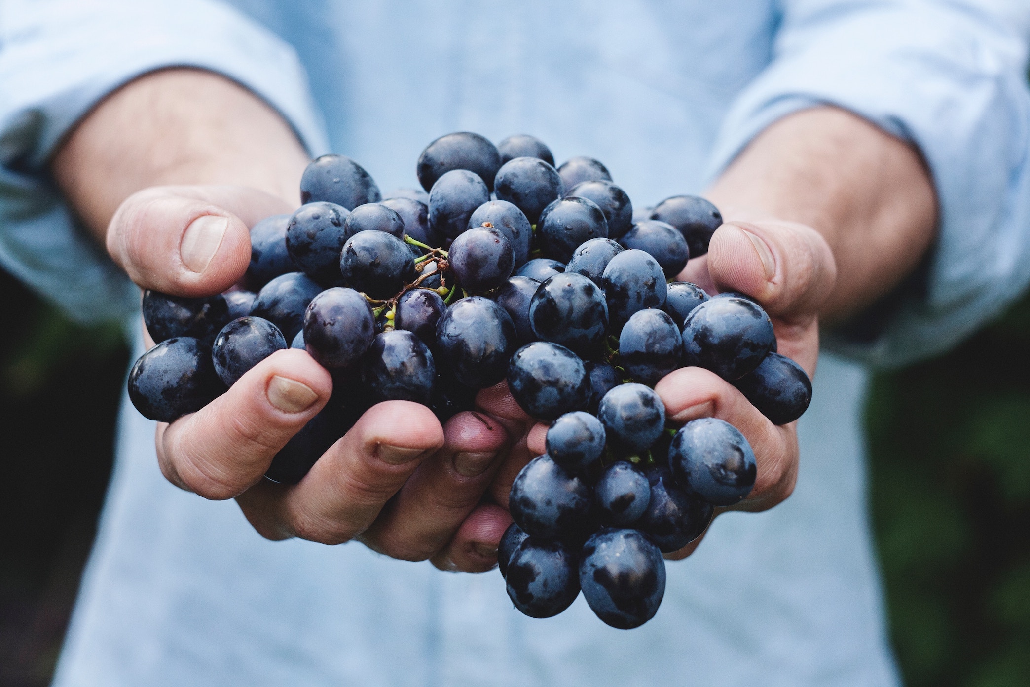 organic food packaging